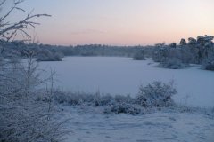 p_0003-1