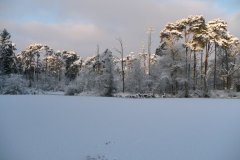 p_0006-1